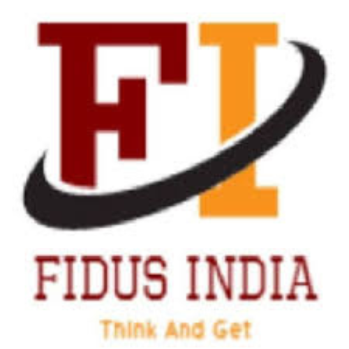 FIDUS INDIA AUTOMATION PRIVATE LIMITED